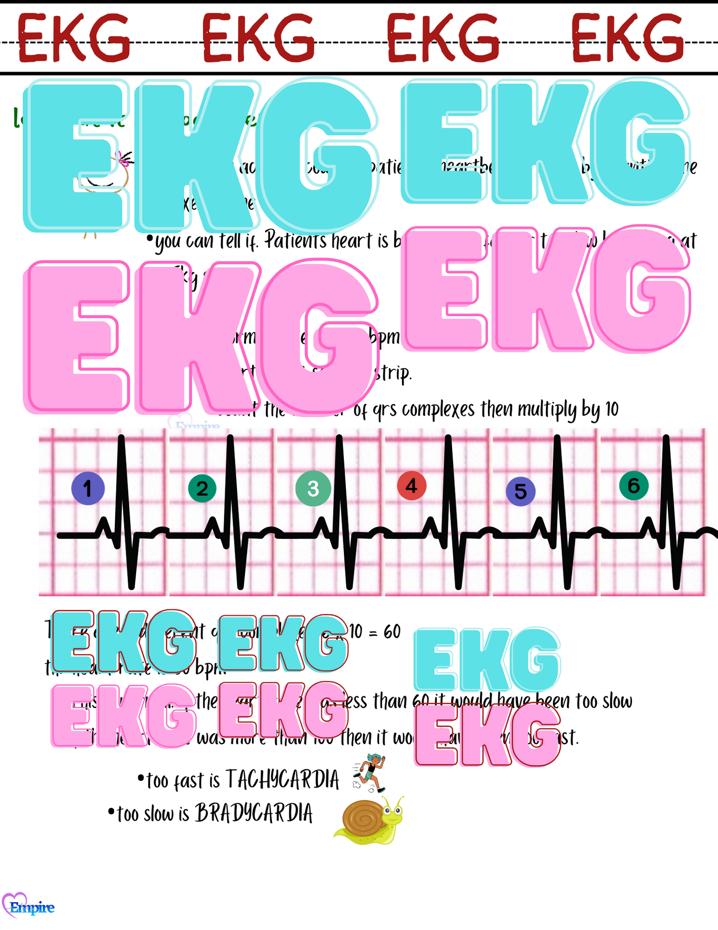 EKG Study Sheet